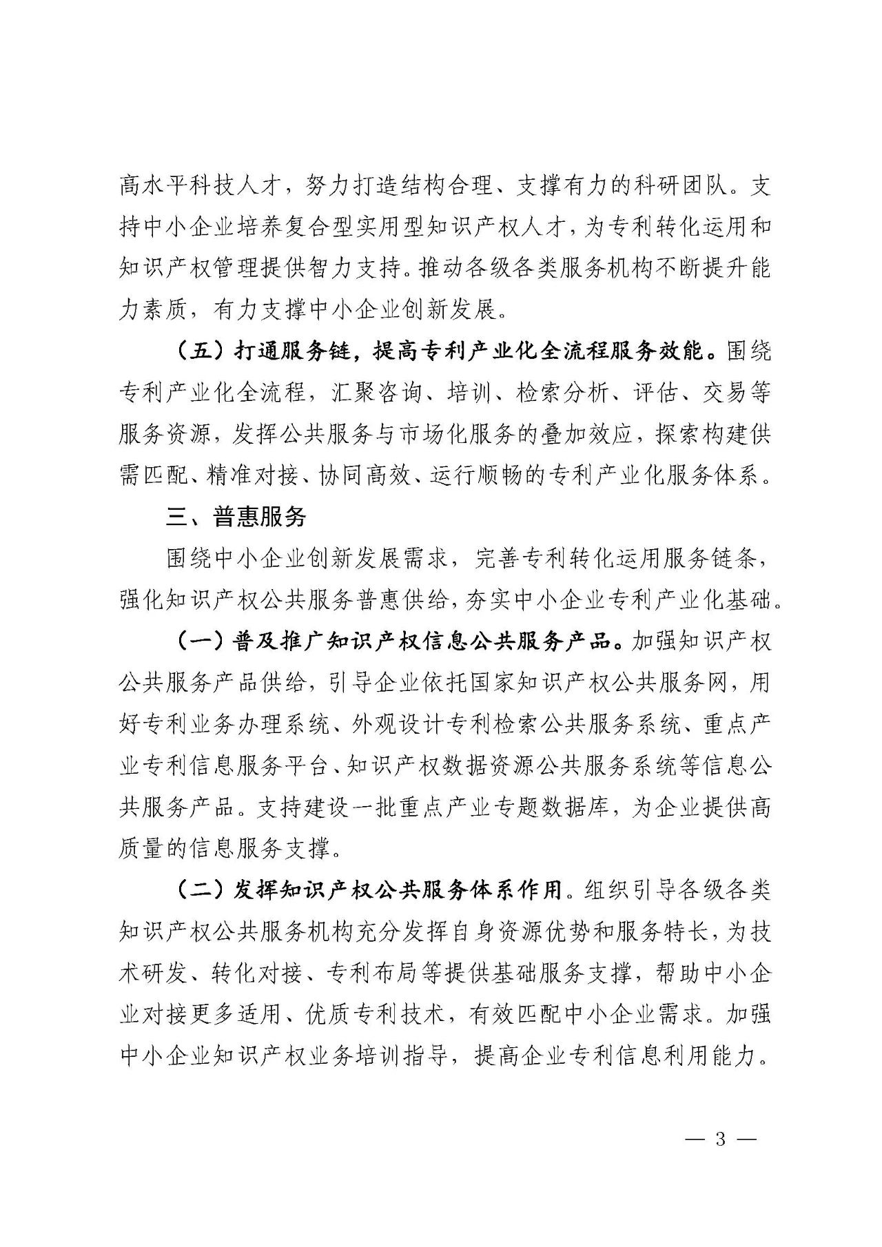 專利產(chǎn)業(yè)化促進(jìn)中小企業(yè)成長計劃實(shí)施方案