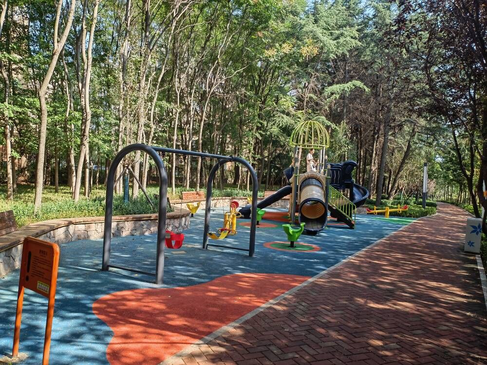 深圳路東側(cè)（仙霞嶺路-巖嶺路）綠地提升工程（設(shè)計）