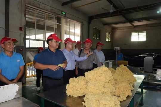 我院韓倉河萬達段景觀工程四個標(biāo)段通過驗收